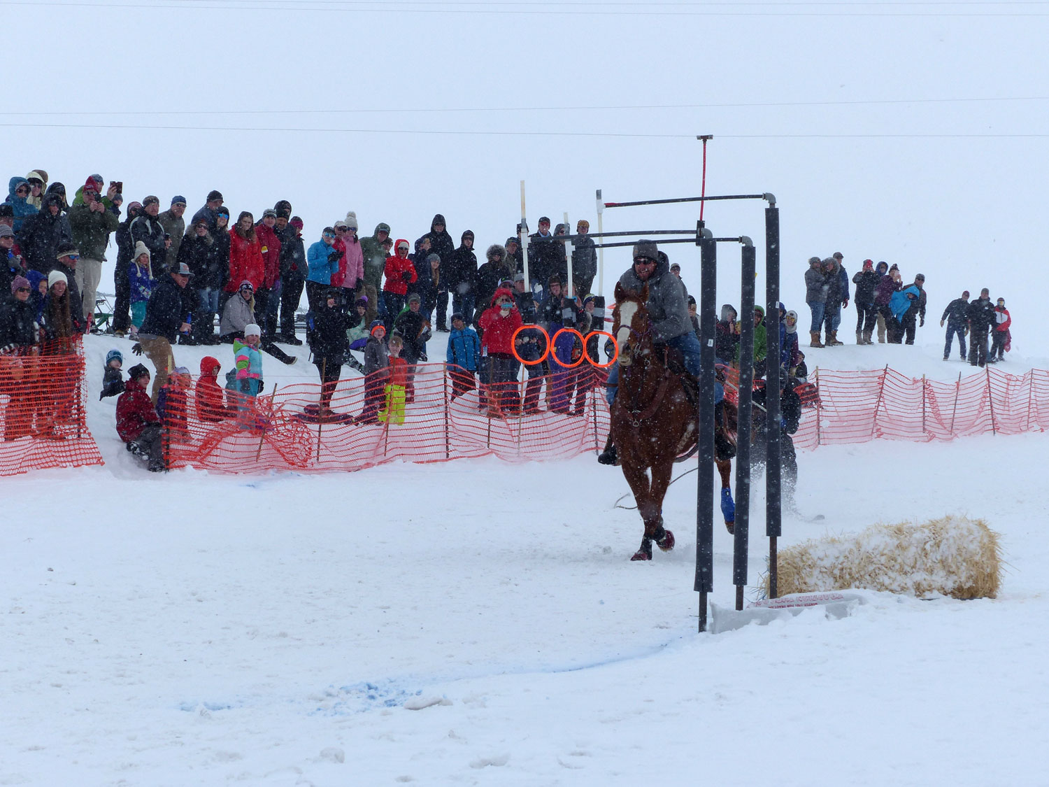 Wood River Ski joring Association | Sun Valley and BellevueIdaho |